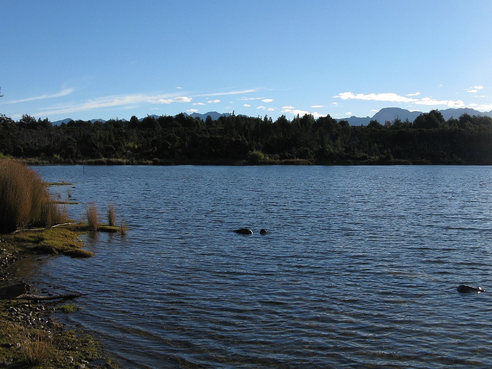 Shores of Lake Te Anau